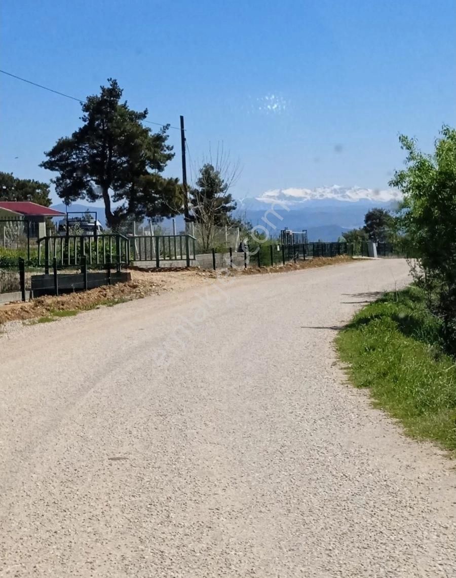 Burdur İlinin Yükselen Yıldızı Bucak İlçesinde Satılık Bahçe