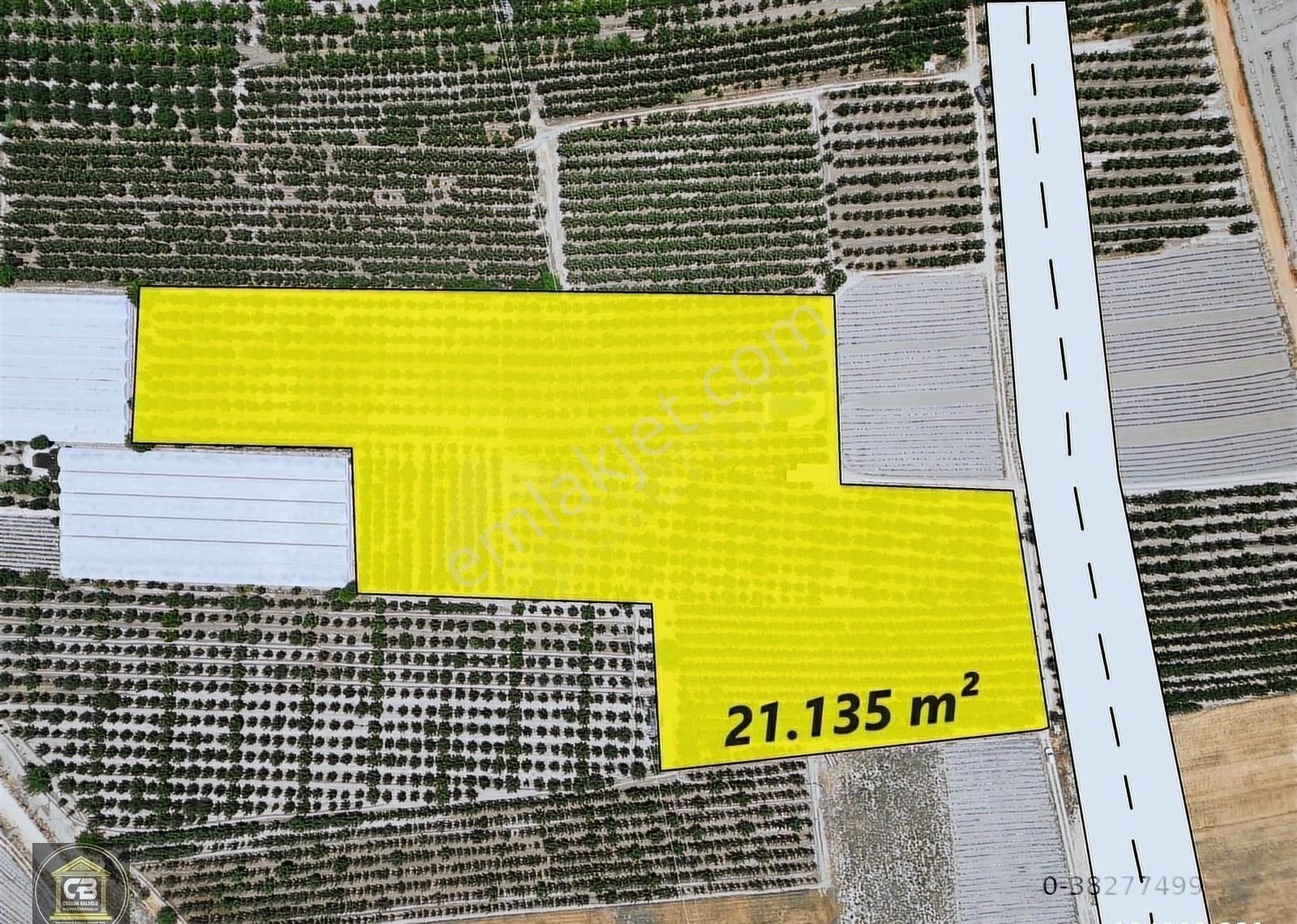 Düdenköy Mahallesinde 21.135 M² Bakımlı Elma Bahçesi Satılıktır - Görsel 16