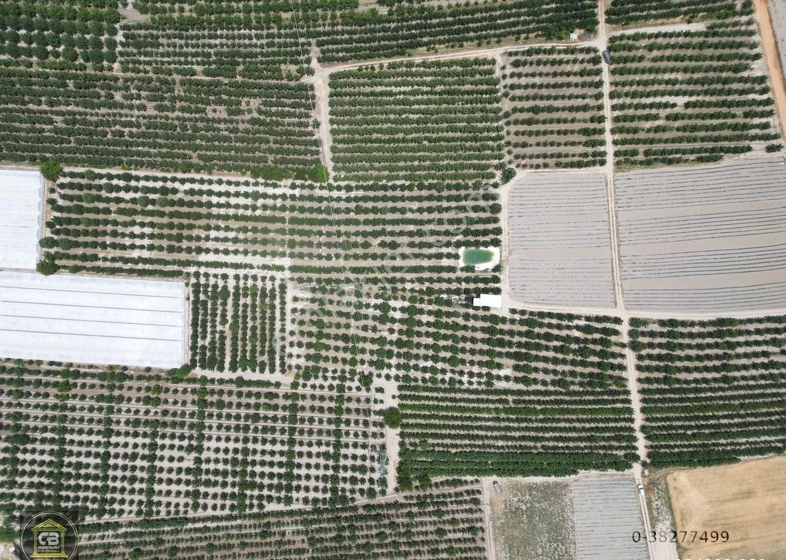 Düdenköy Mahallesinde 21.135 M² Bakımlı Elma Bahçesi Satılıktır - Görsel 23