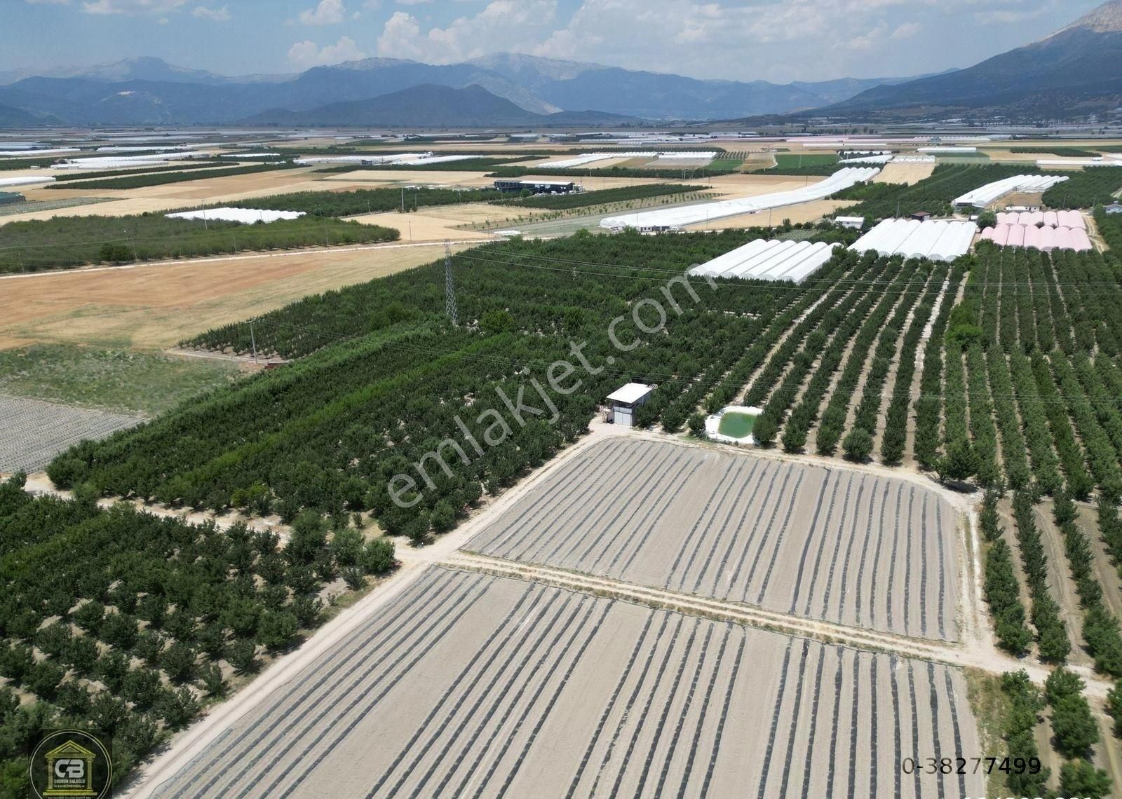 Düdenköy Mahallesinde 21.135 M² Bakımlı Elma Bahçesi Satılıktır - Görsel 3