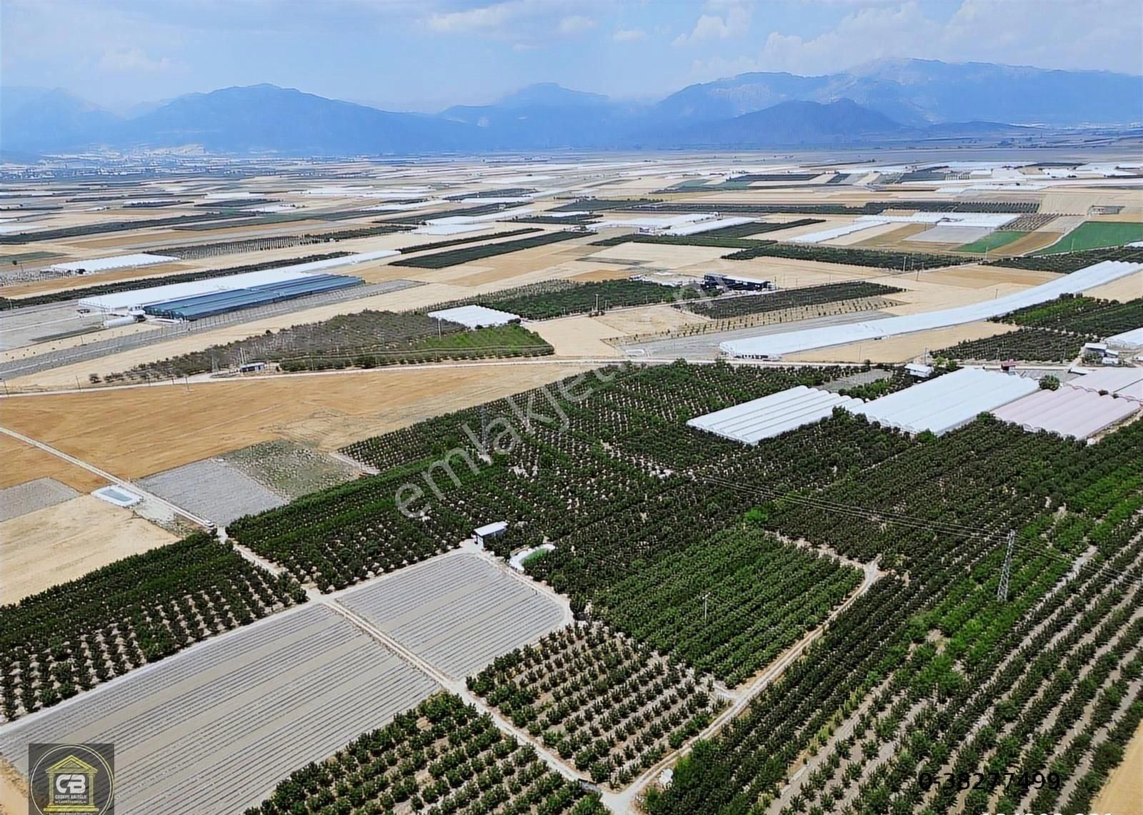 Düdenköy Mahallesinde 21.135 M² Bakımlı Elma Bahçesi Satılıktır - Görsel 20