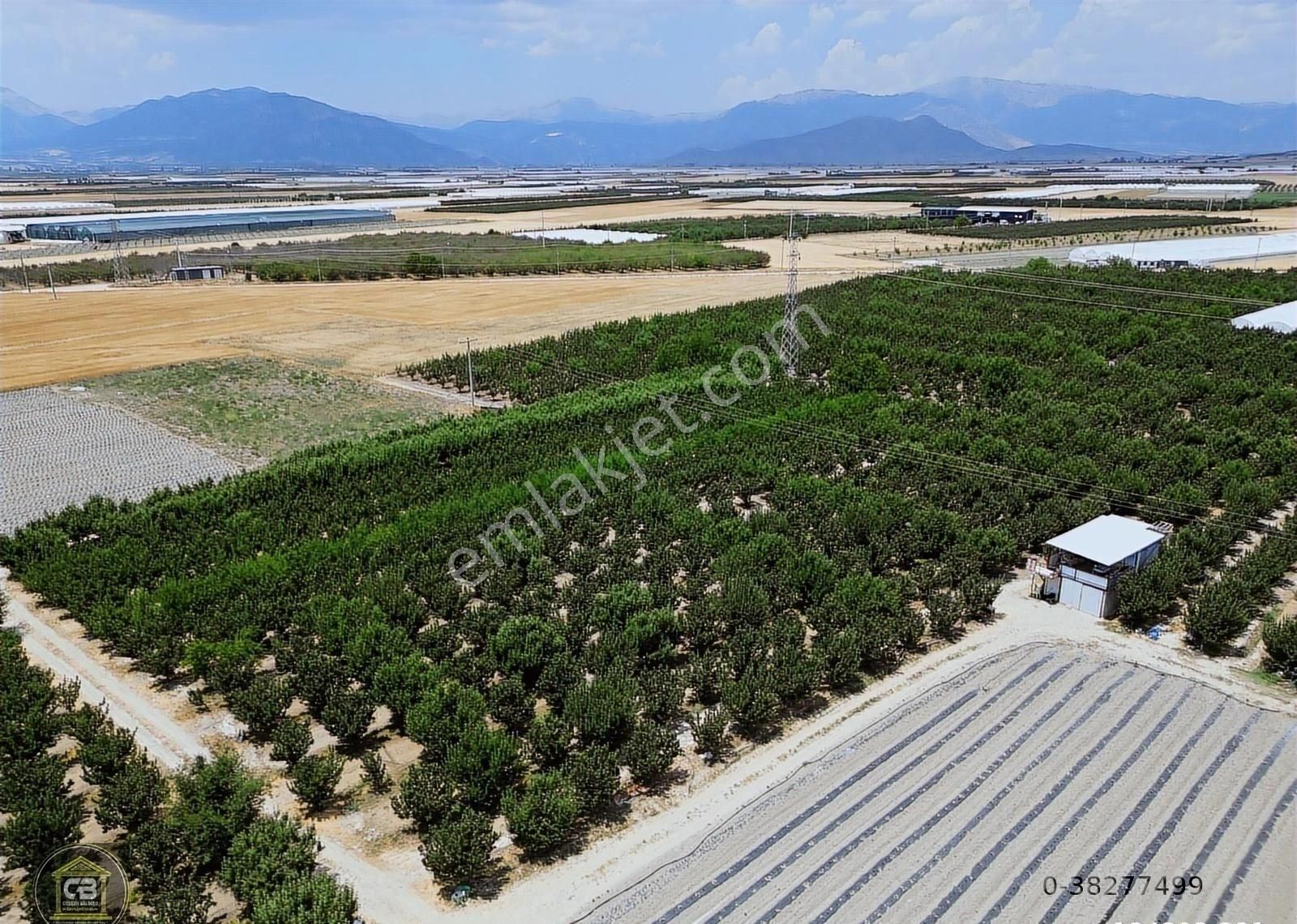 Düdenköy Mahallesinde 21.135 M² Bakımlı Elma Bahçesi Satılıktır - Görsel 4