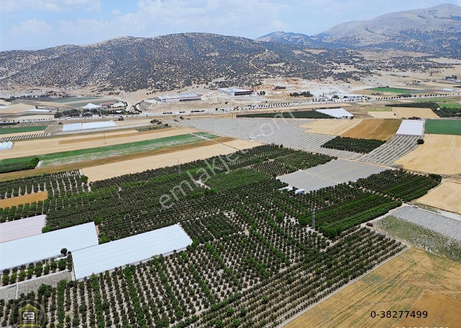 Düdenköy Mahallesinde 21.135 M² Bakımlı Elma Bahçesi Satılıktır - Görsel 8