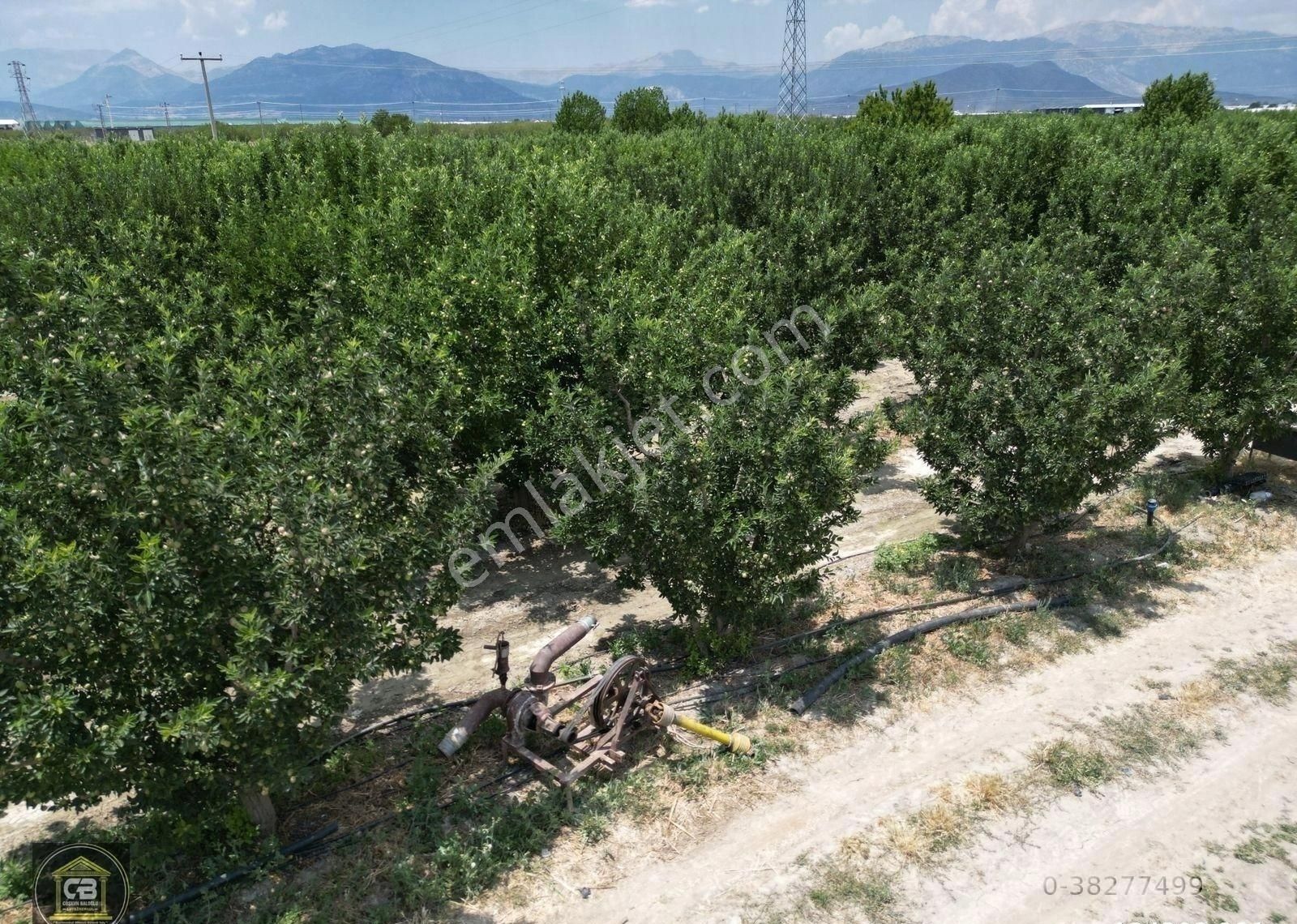 Düdenköy Mahallesinde 21.135 M² Bakımlı Elma Bahçesi Satılıktır - Görsel 22
