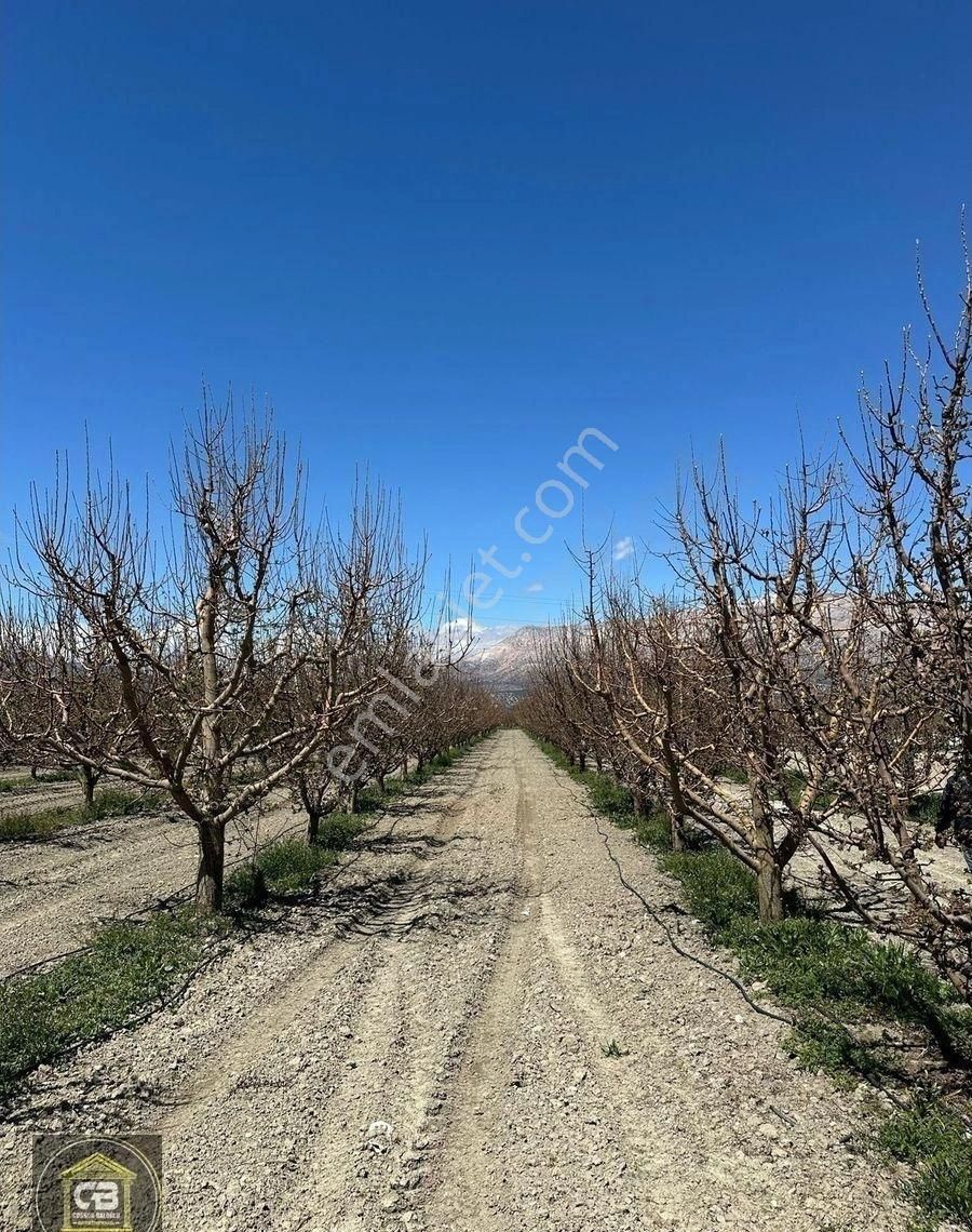 Düdenköy Mahallesinde 21.135 M² Bakımlı Elma Bahçesi Satılıktır - Görsel 17