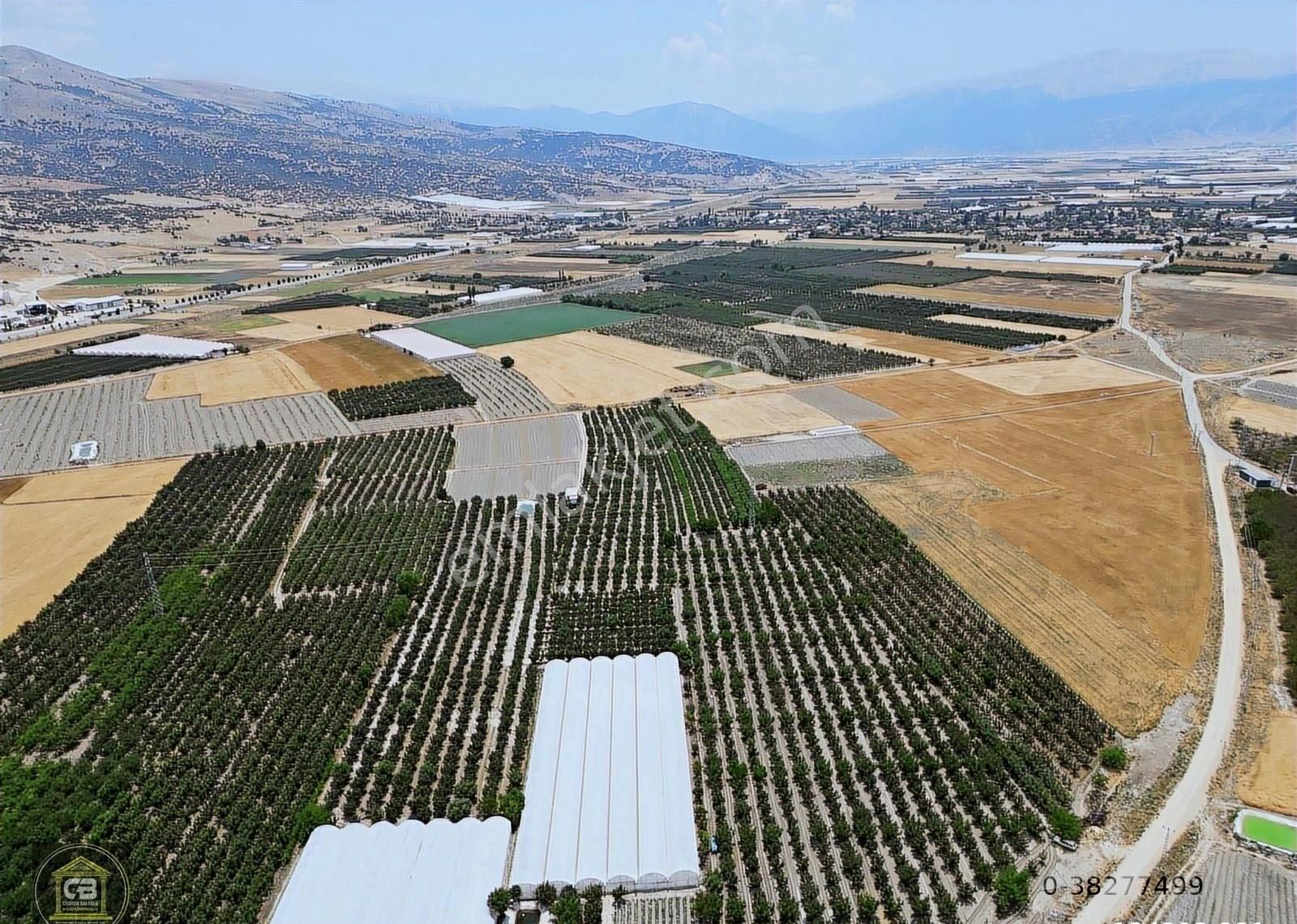 Düdenköy Mahallesinde 21.135 M² Bakımlı Elma Bahçesi Satılıktır - Görsel 21