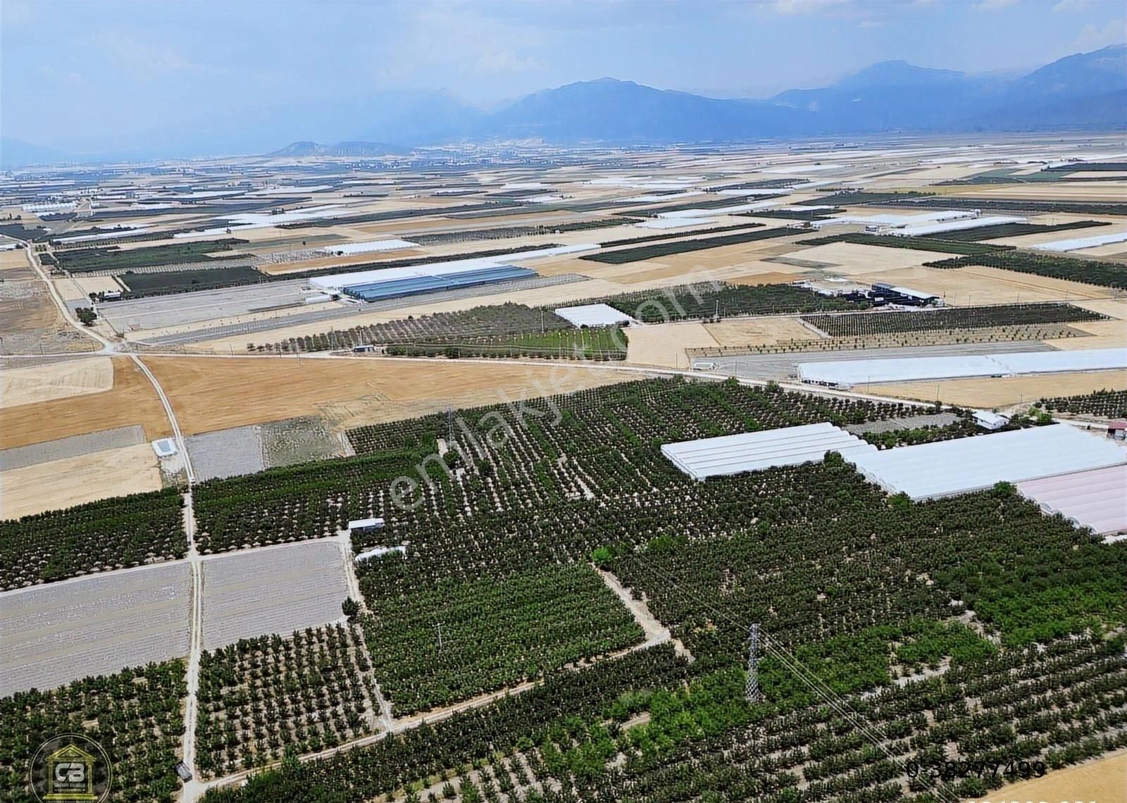 Düdenköy Mahallesinde 21.135 M² Bakımlı Elma Bahçesi Satılıktır - Görsel 11