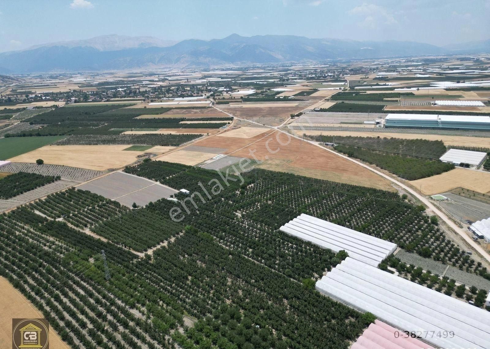 Düdenköy Mahallesinde 21.135 M² Bakımlı Elma Bahçesi Satılıktır - Görsel 14