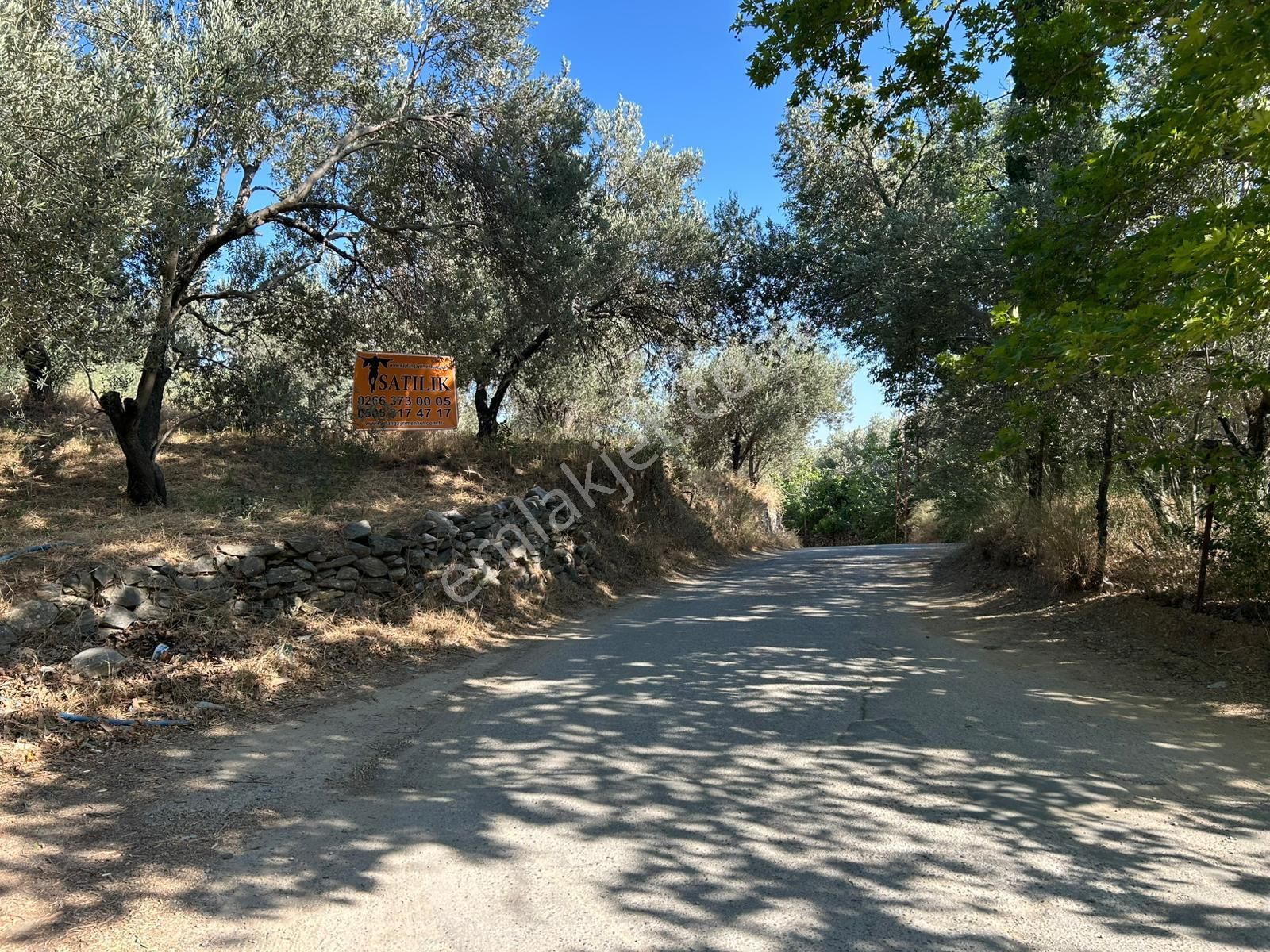 Kaptan Gayrimenkul'den Edremit-beyoba Hasan Boğuldu Yolu Üstünde Satılık 1260 M2 Zeytinlik