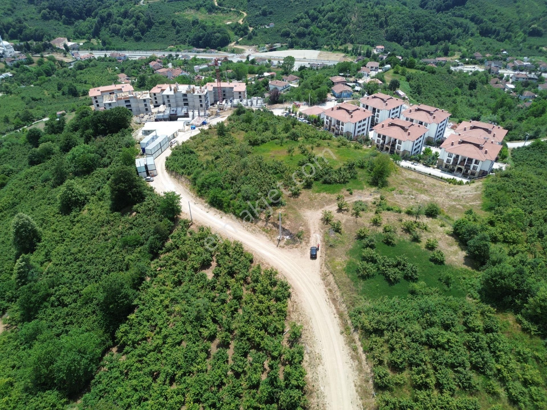Düzce Yazlık, Toki Konutları Yanında 2681m2 Satılık Fındıklık !