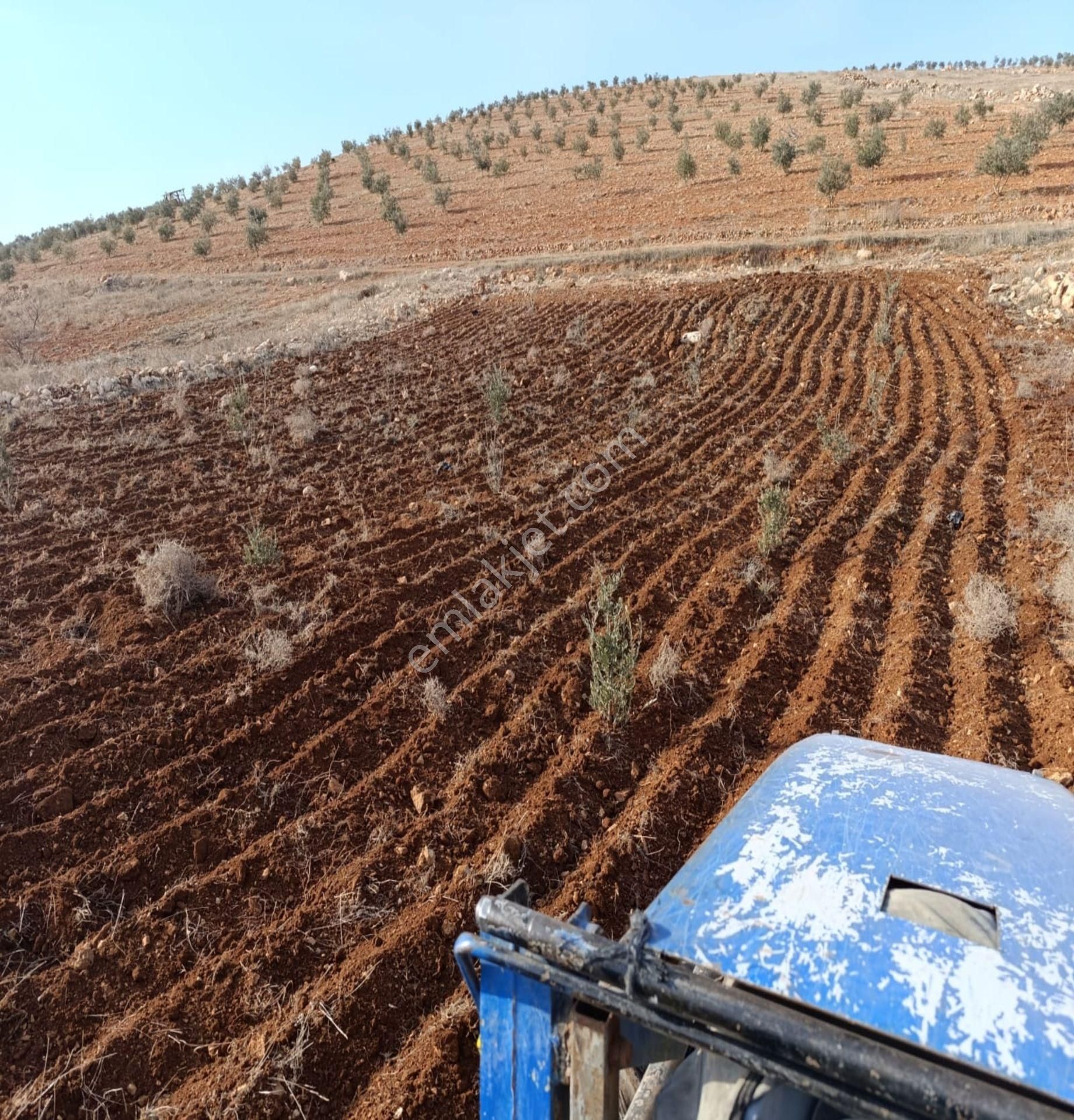 Oğuzeli Çaybaşında 800 M² Tek Tapu Yatırımlık Tarla - Görsel 2