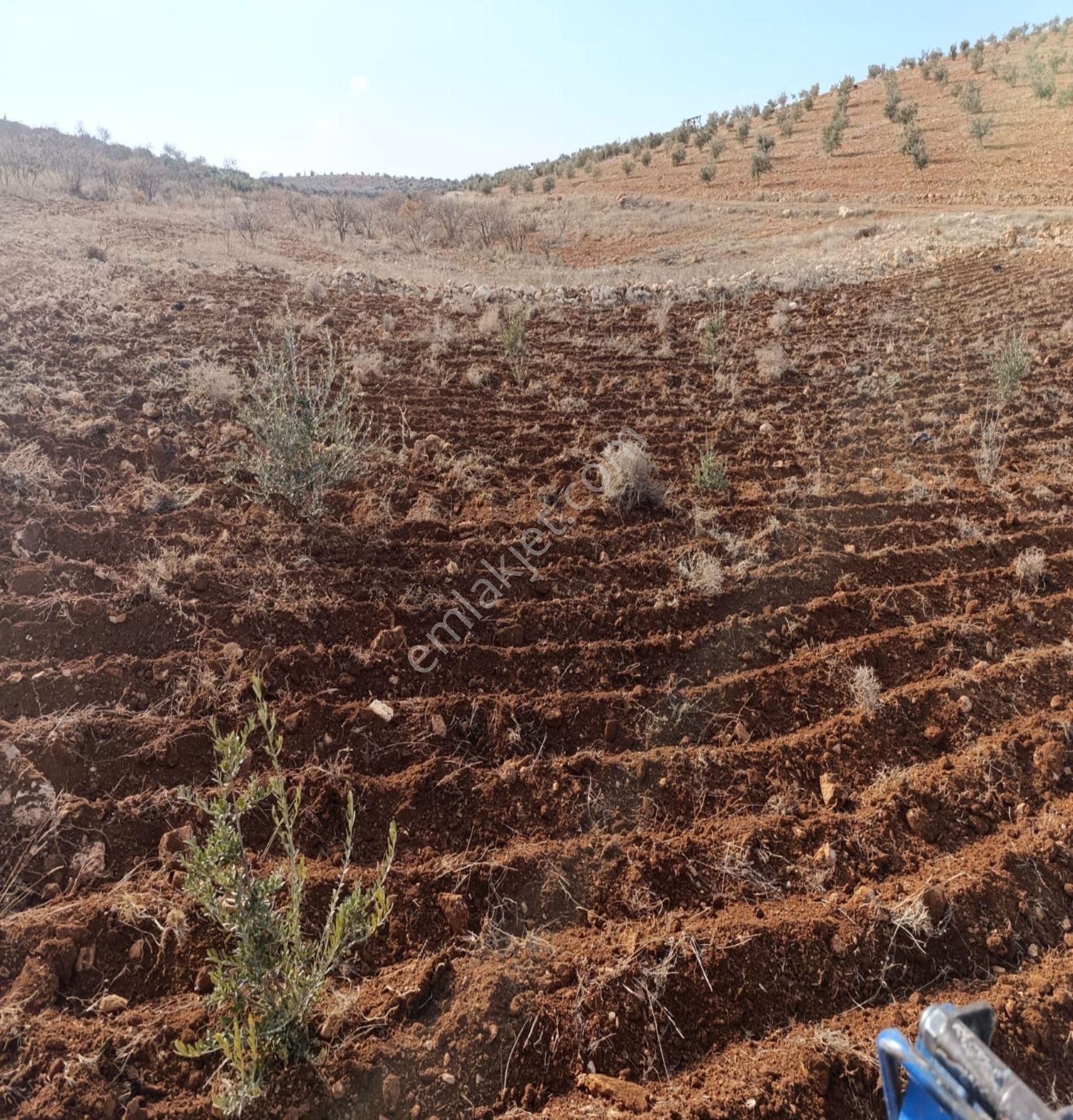 Oğuzeli Çaybaşında 800 M² Tek Tapu Yatırımlık Tarla - Görsel 6