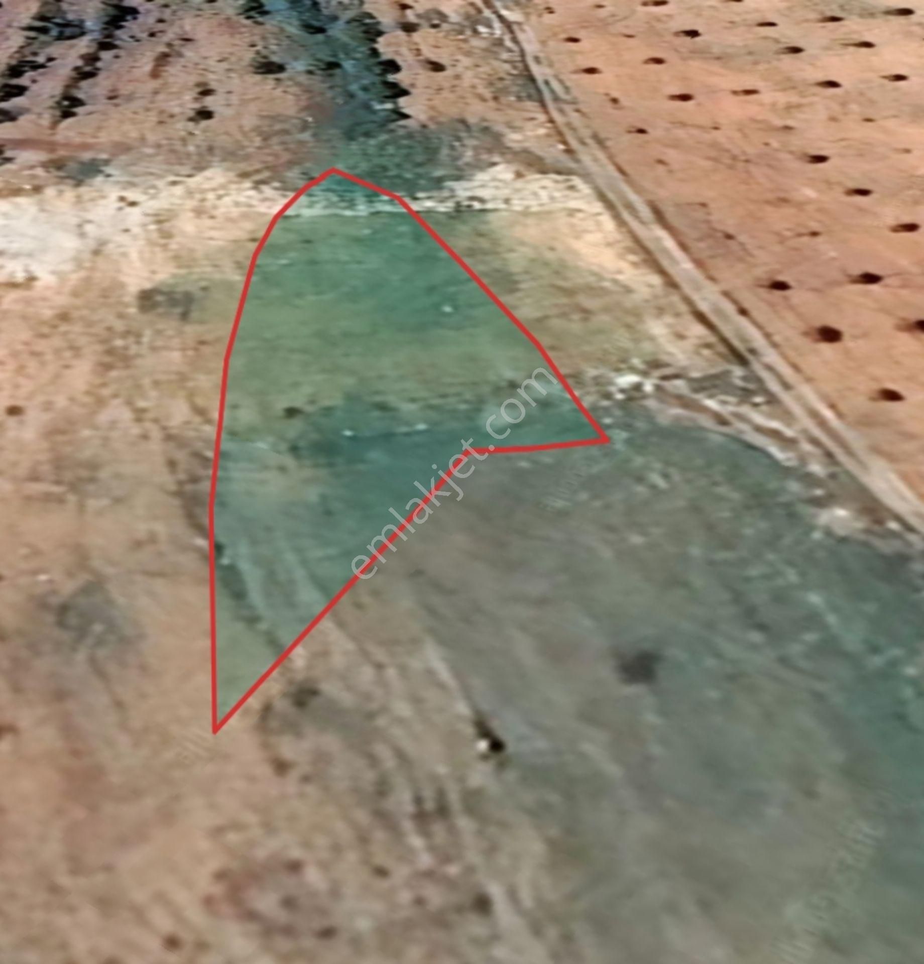 Oğuzeli Çaybaşında 800 M² Tek Tapu Yatırımlık Tarla - Görsel 15