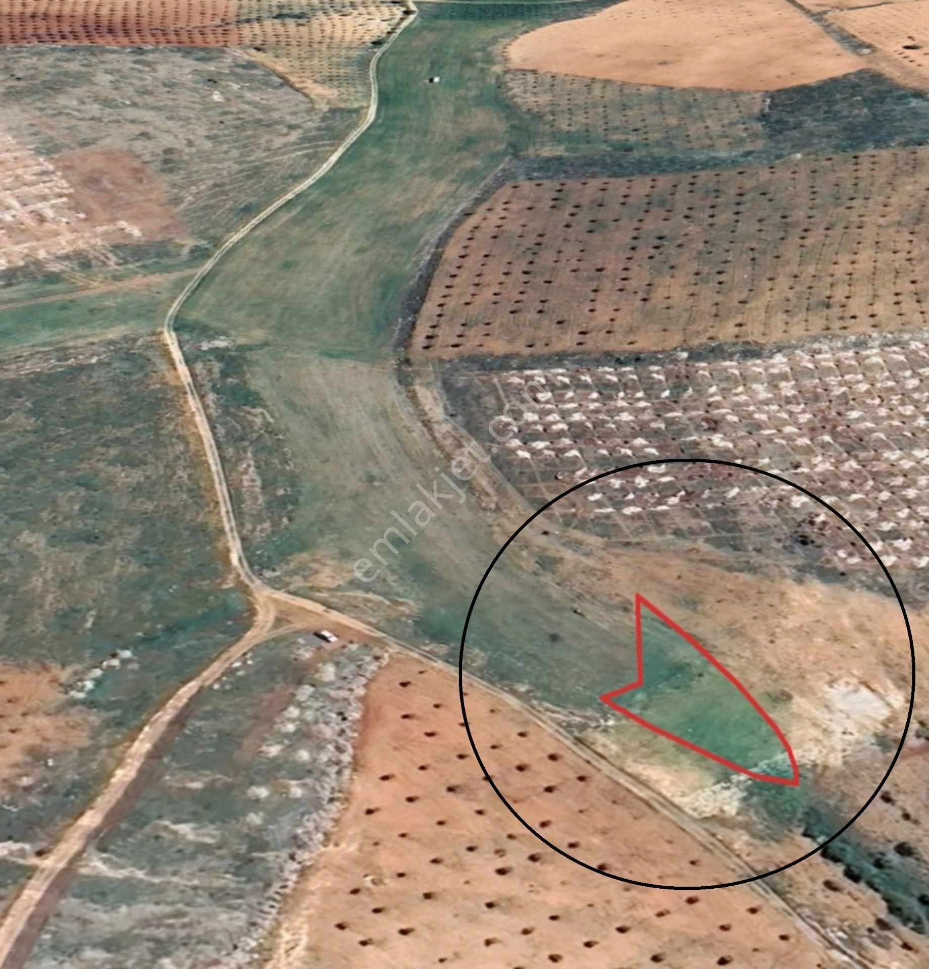 Oğuzeli Çaybaşında 800 M² Tek Tapu Yatırımlık Tarla - Görsel 9