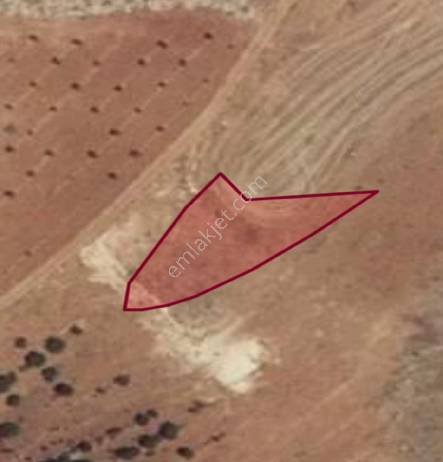 Oğuzeli Çaybaşında 800 M² Tek Tapu Yatırımlık Tarla - Görsel 18