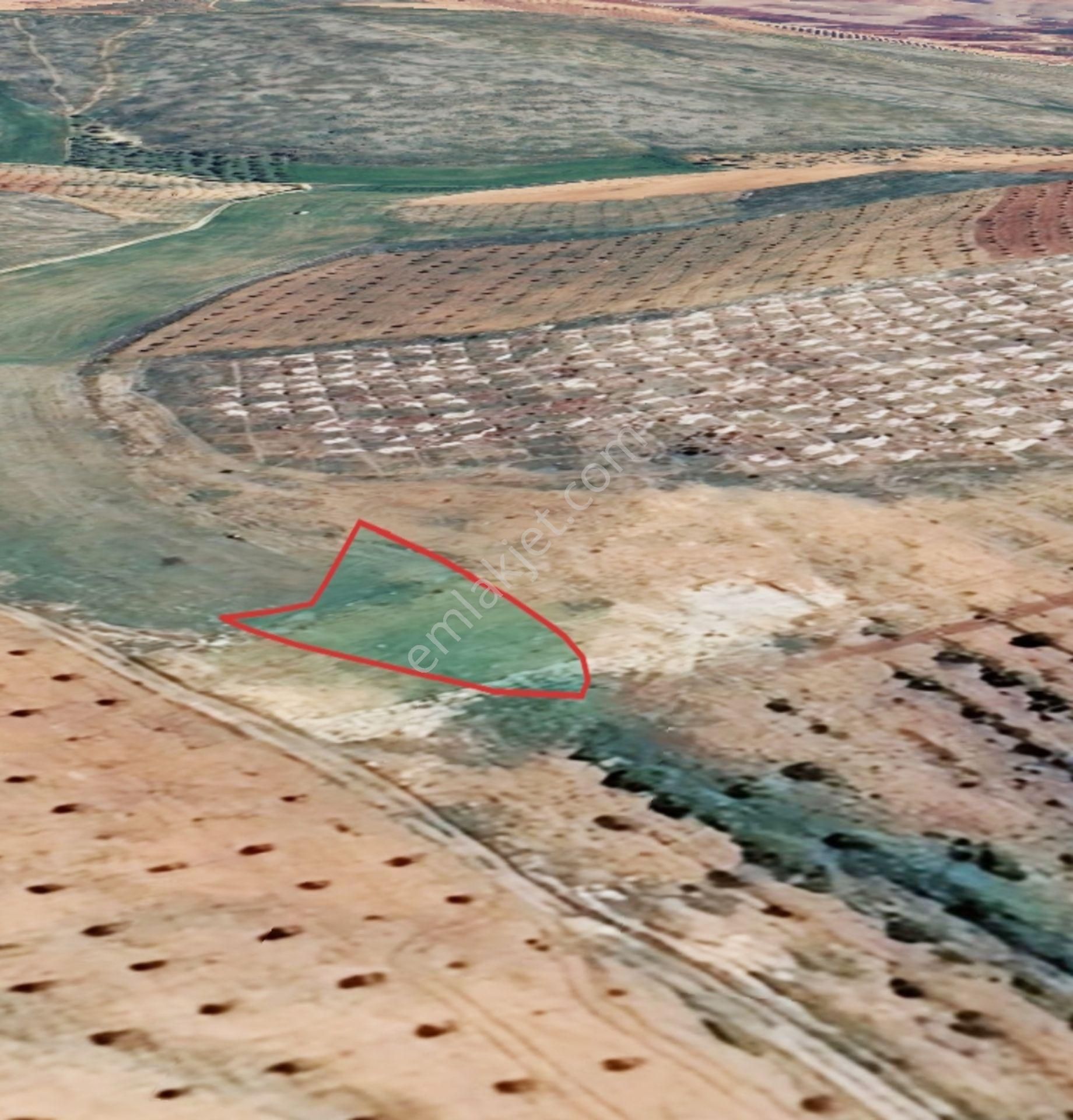 Oğuzeli Çaybaşında 800 M² Tek Tapu Yatırımlık Tarla - Görsel 17