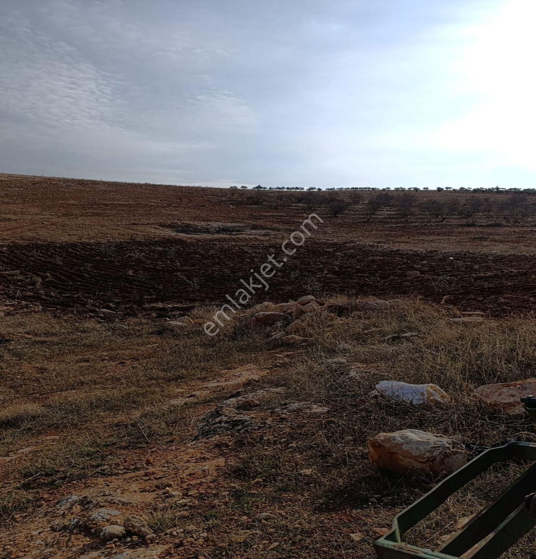 Oğuzeli Çaybaşında 800 M² Tek Tapu Yatırımlık Tarla - Görsel 7