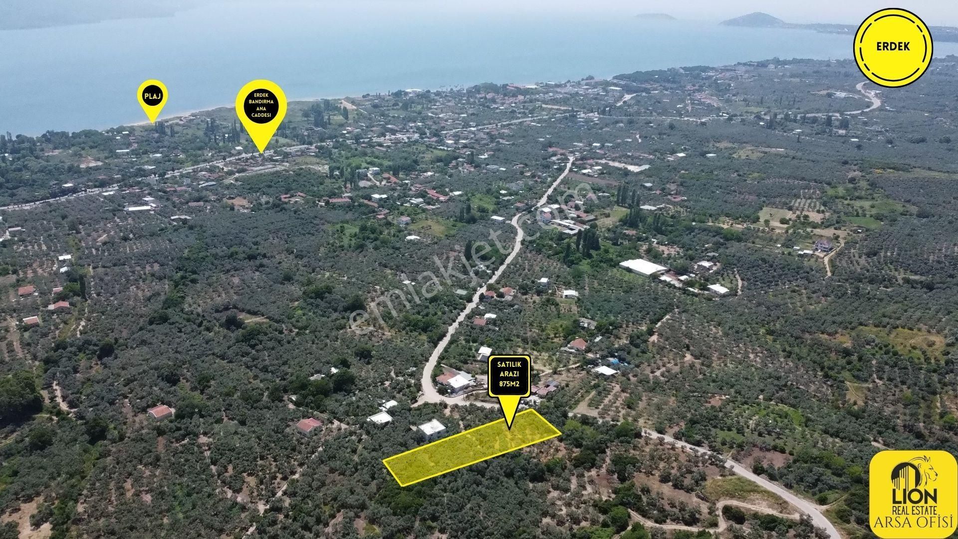 Erdek Belkıs Mahallesi Ana Caddeye 875m² Satılık Zeytinlik