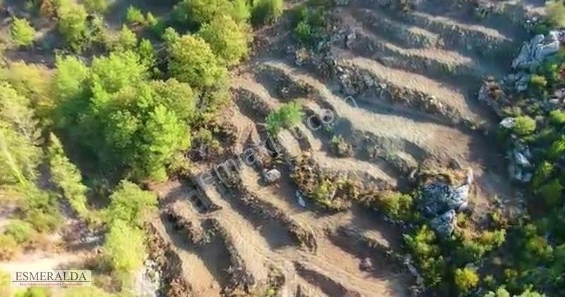 Alanya Sapadere'de 5370 M2 Satılık Tarla - Görsel 5