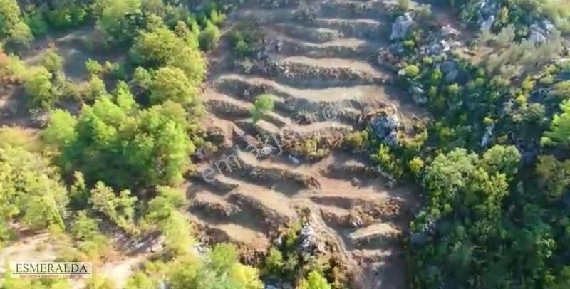 Alanya Sapadere'de 5370 M2 Satılık Tarla - Görsel 2