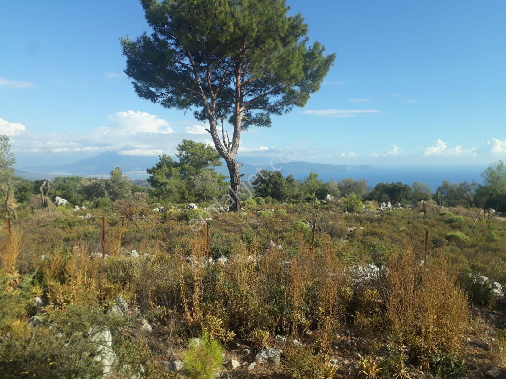 Muğla Fethiye Gökçeovacıkta Satılık Tarla - Görsel 5