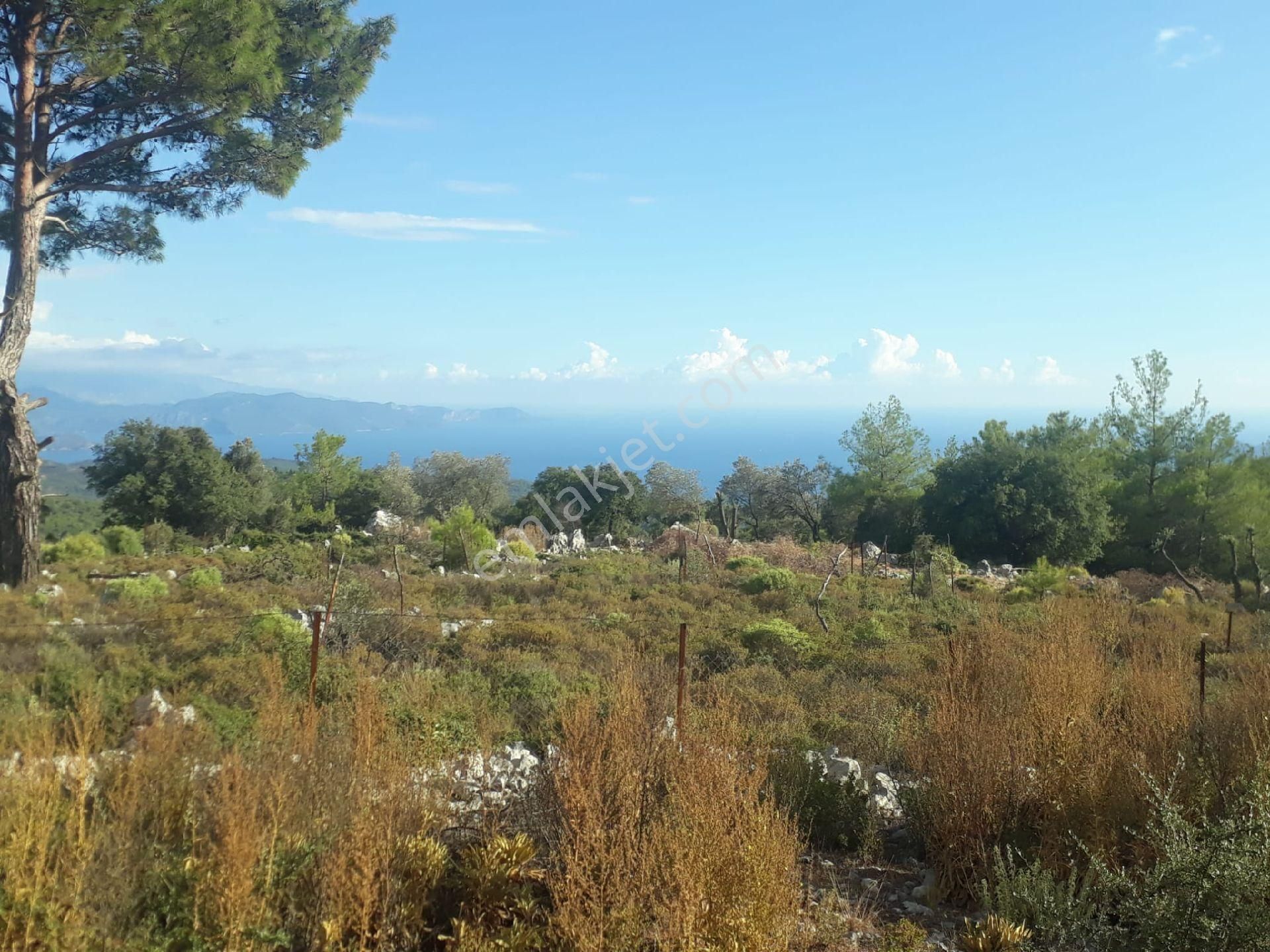 Muğla Fethiye Gökçeovacıkta Satılık Tarla - Görsel 6