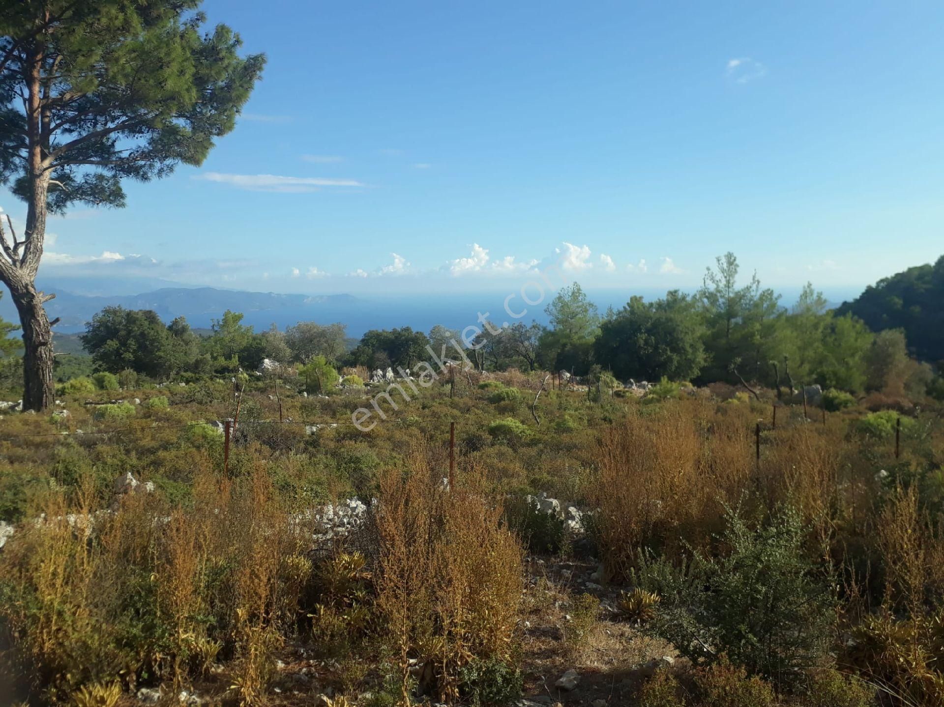 Muğla Fethiye Gökçeovacıkta Satılık Tarla - Görsel 4