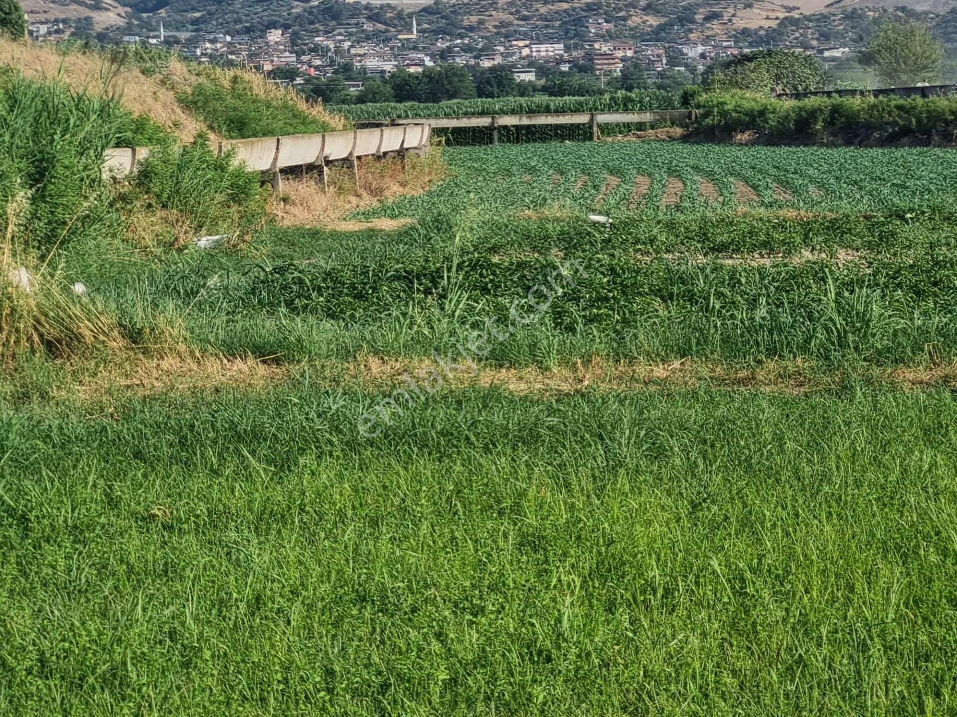 Aydın Nazilli Yöntem Emlaktan Yenipazar Donduran Mahallesinde Satılık Hobi Bahçesi