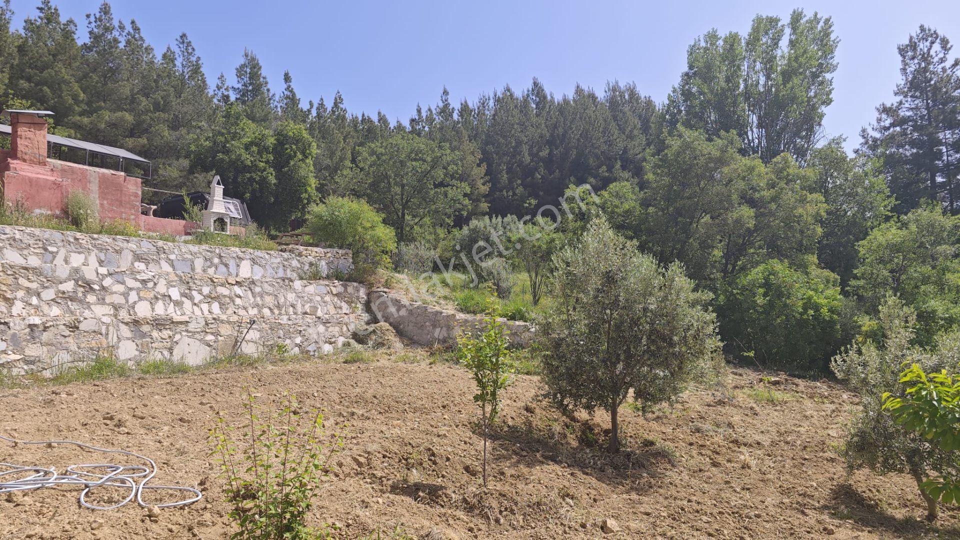 Kuşbaba Köyünde 1864 M² Arsa İçinde Yazlık Müstakil Ev - Görsel 35