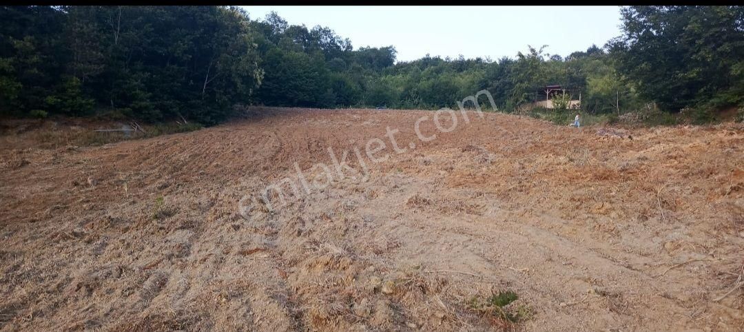 Kestel Orhanıye De Satılık Tarla