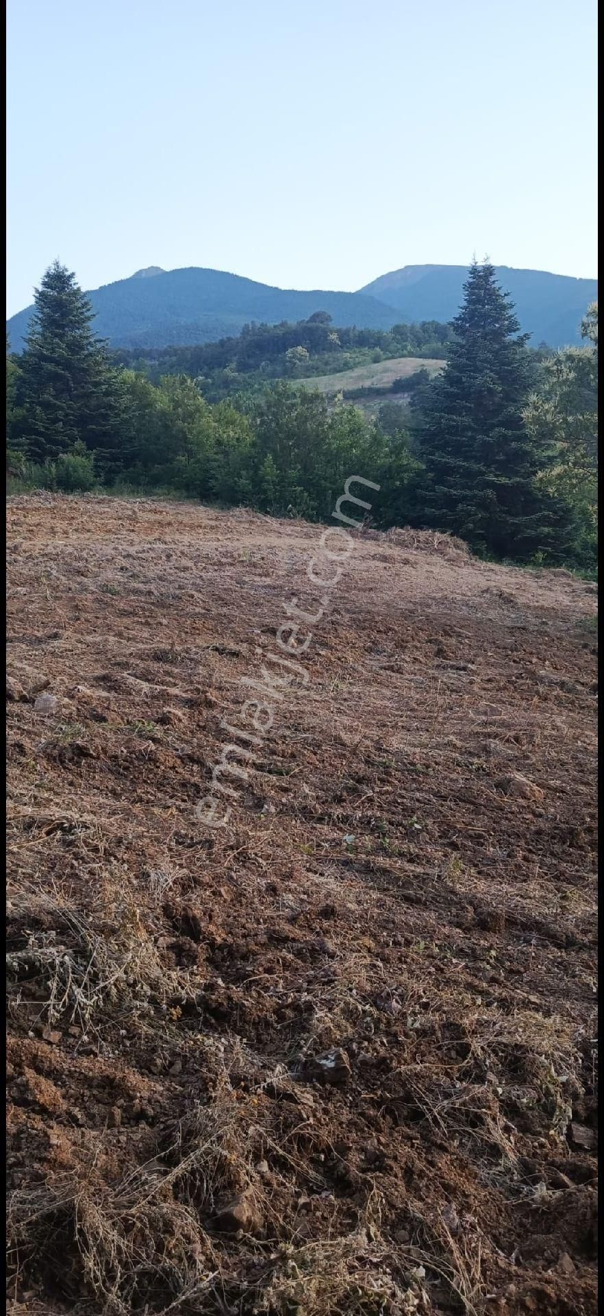 Elmas Gayrimenkul Den Kestel Gozede De Satılık Tarla - Görsel 17