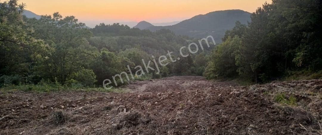 Elmas Gayrimenkul Den Kestel Gozede De Satılık Tarla - Görsel 19