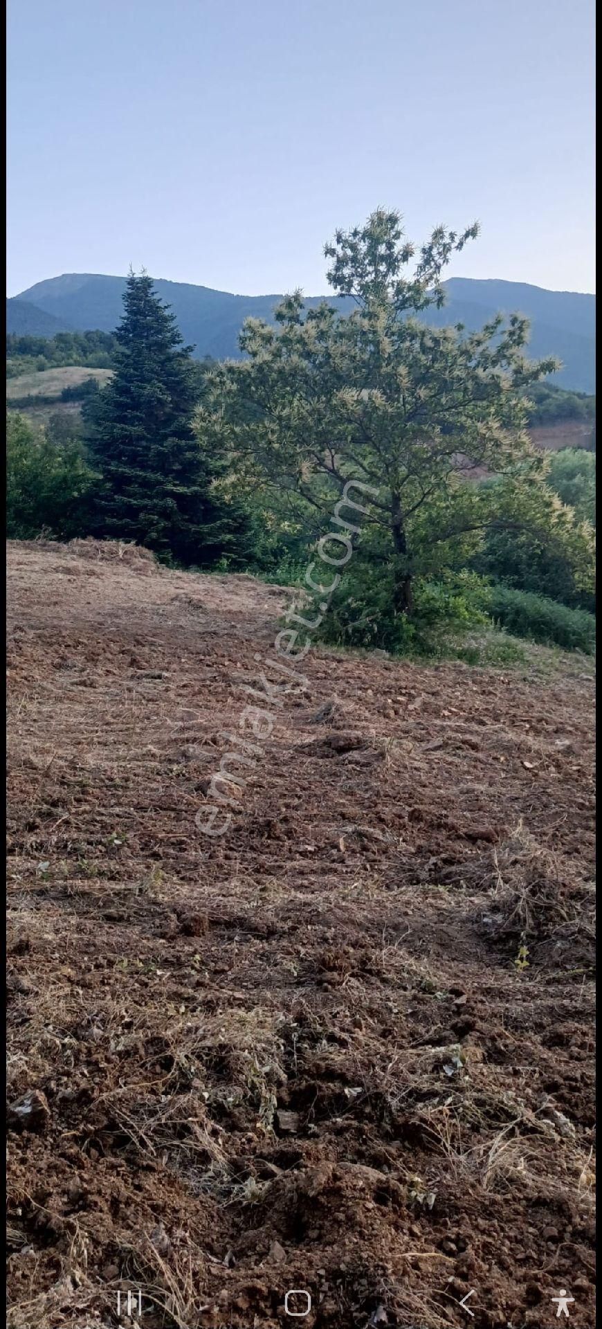 Elmas Gayrimenkul Den Kestel Gozede De Satılık Tarla - Görsel 18