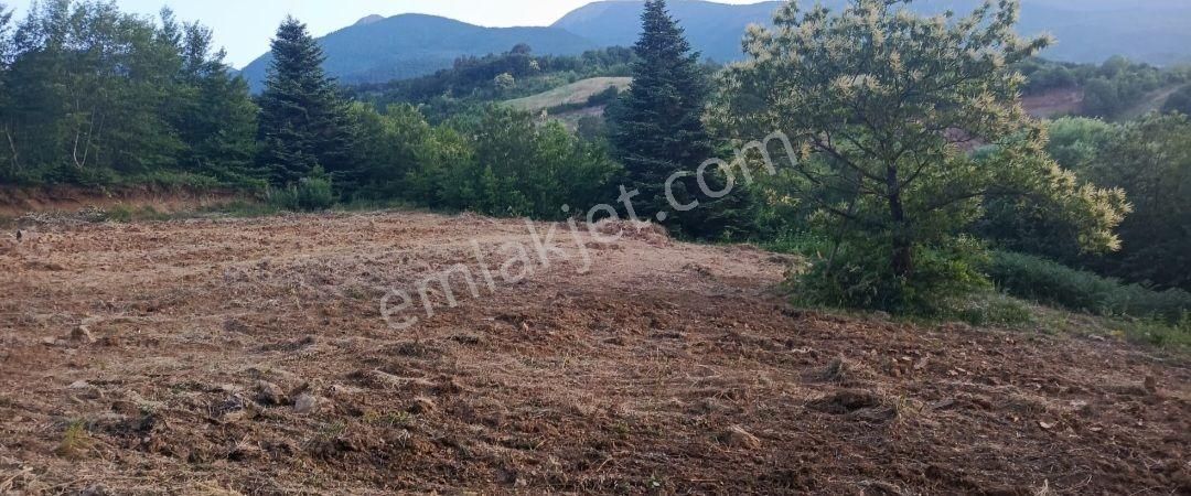 Elmas Gayrimenkul Den Kestel Gozede De Satılık Tarla - Görsel 16