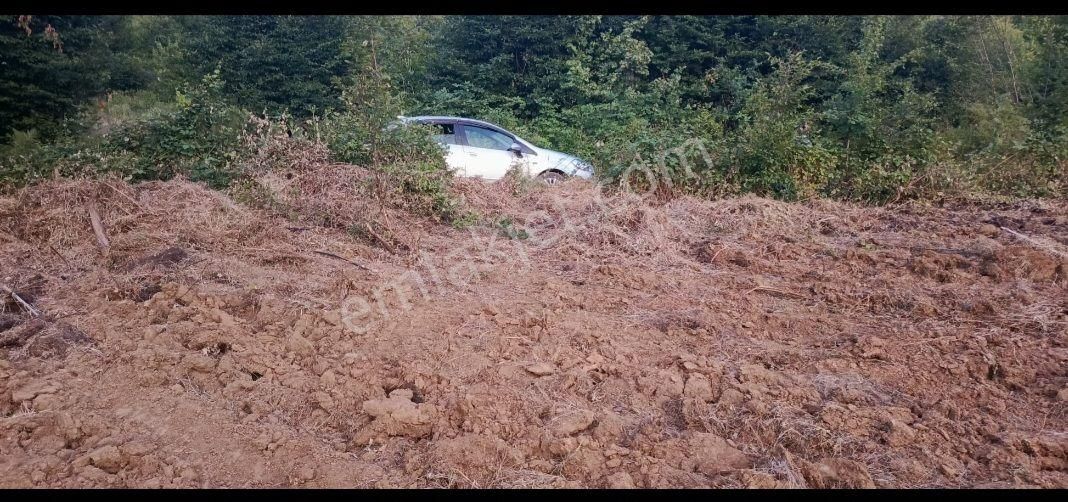 Elmas Gayrimenkul Den Kestel Gozede De Satılık Tarla - Görsel 8
