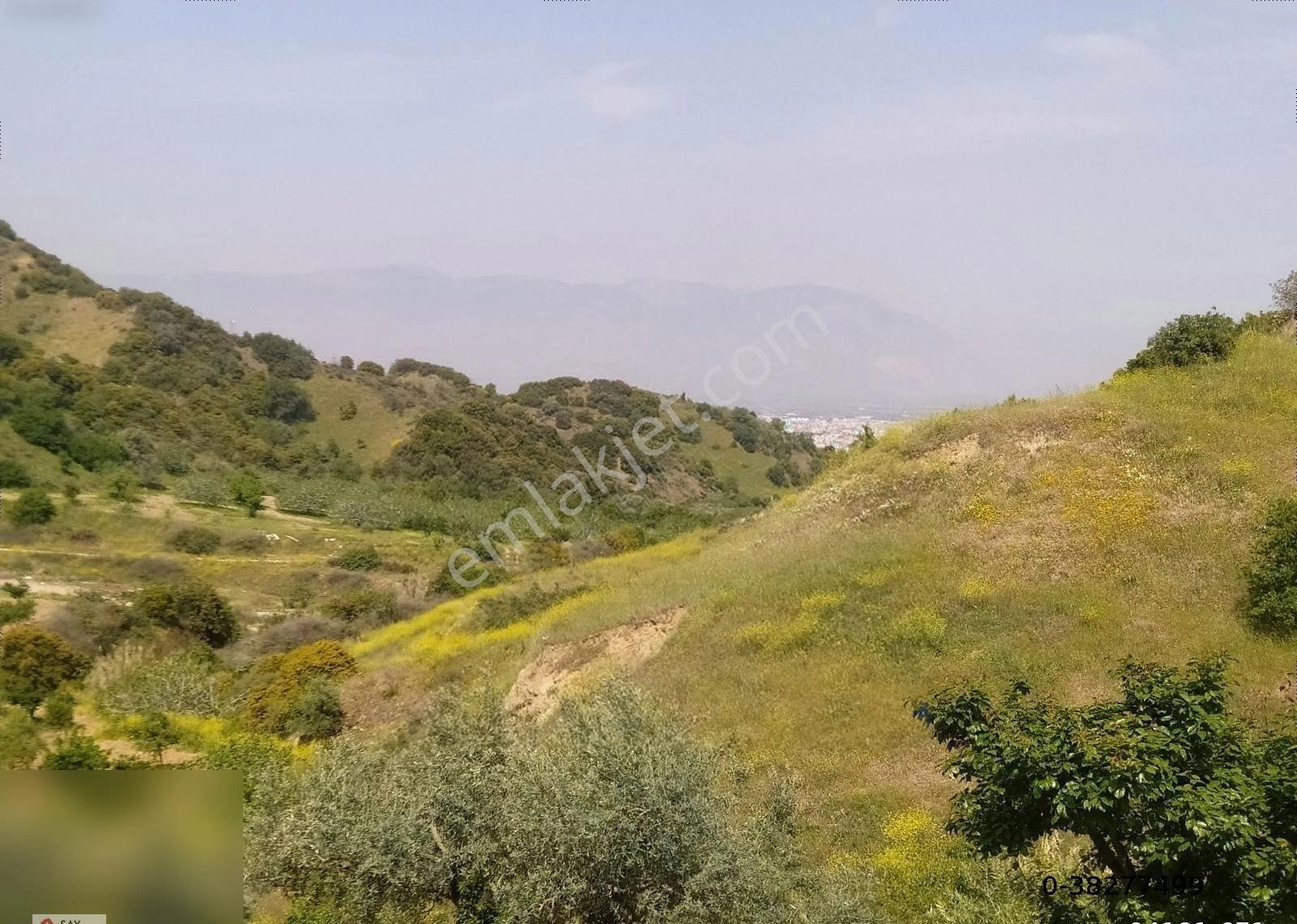 Manisa Turgutlu Dalbahçe Mh 8834m2 Meyve Bahçesi - Görsel 35