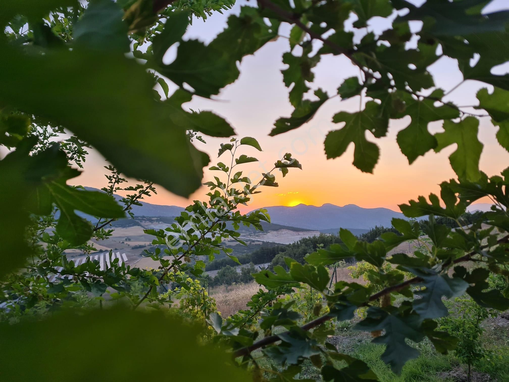Döşemealtında 18 Dönüm Satılık Dsi Belgeli Çiftlik - Görsel 11