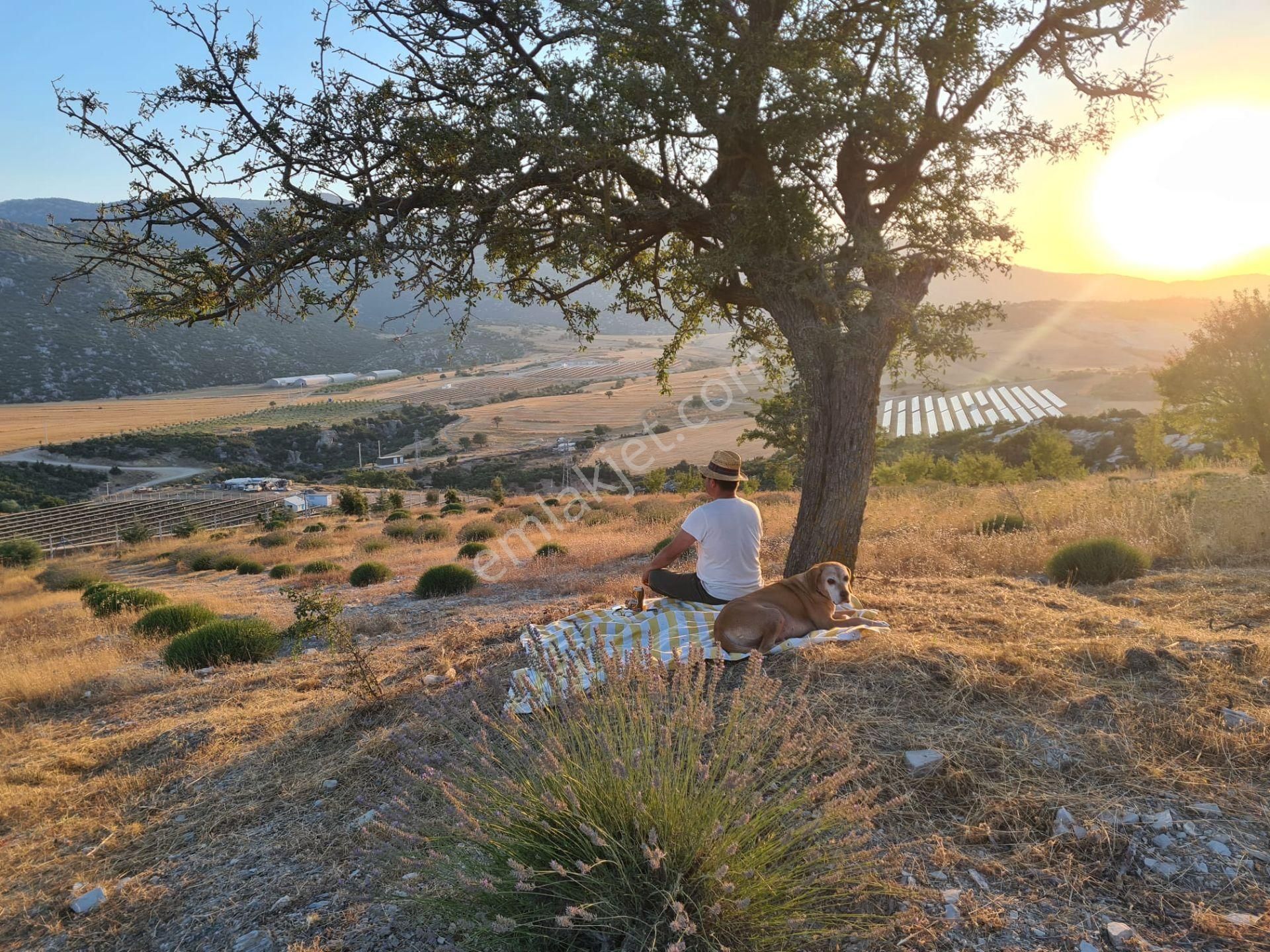 Döşemealtında 18 Dönüm Satılık Dsi Belgeli Çiftlik - Görsel 10