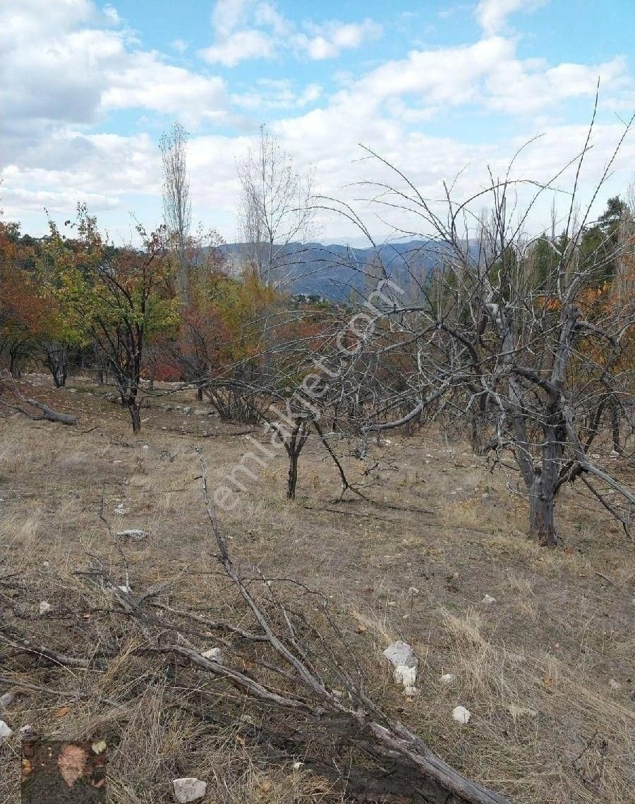 Döşemealtı Karaman Da Rızai Taksim Yapılmış 6080m Tapulu Aboneli Tarla