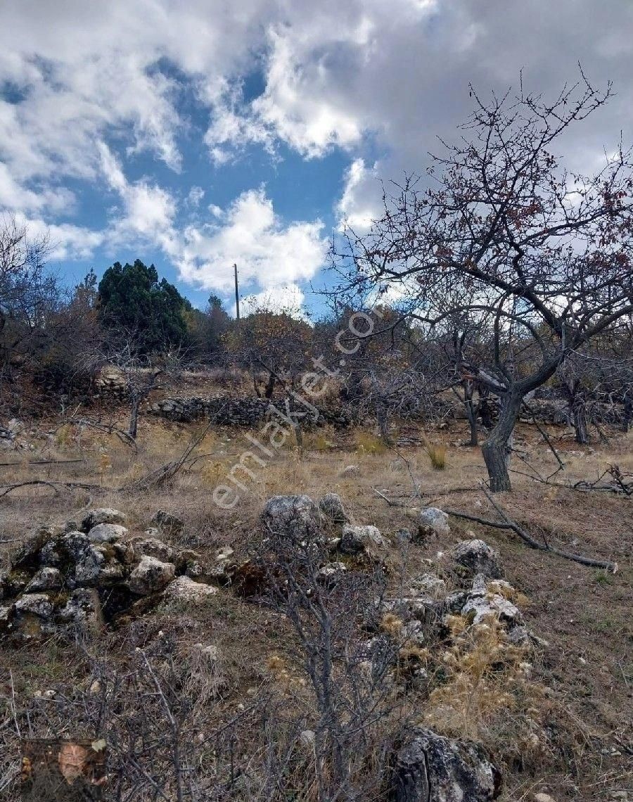 Döşemealtı Karaman Da Rızai Taksim Yapılmış 6080m Tapulu Aboneli Tarla - Görsel 6