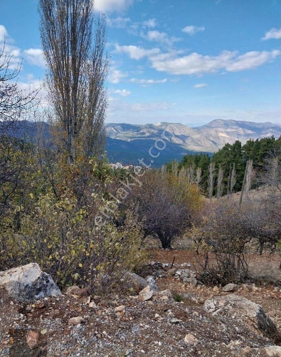 Döşemealtı Karaman Da Rızai Taksim Yapılmış 6080m Tapulu Aboneli Tarla - Görsel 11