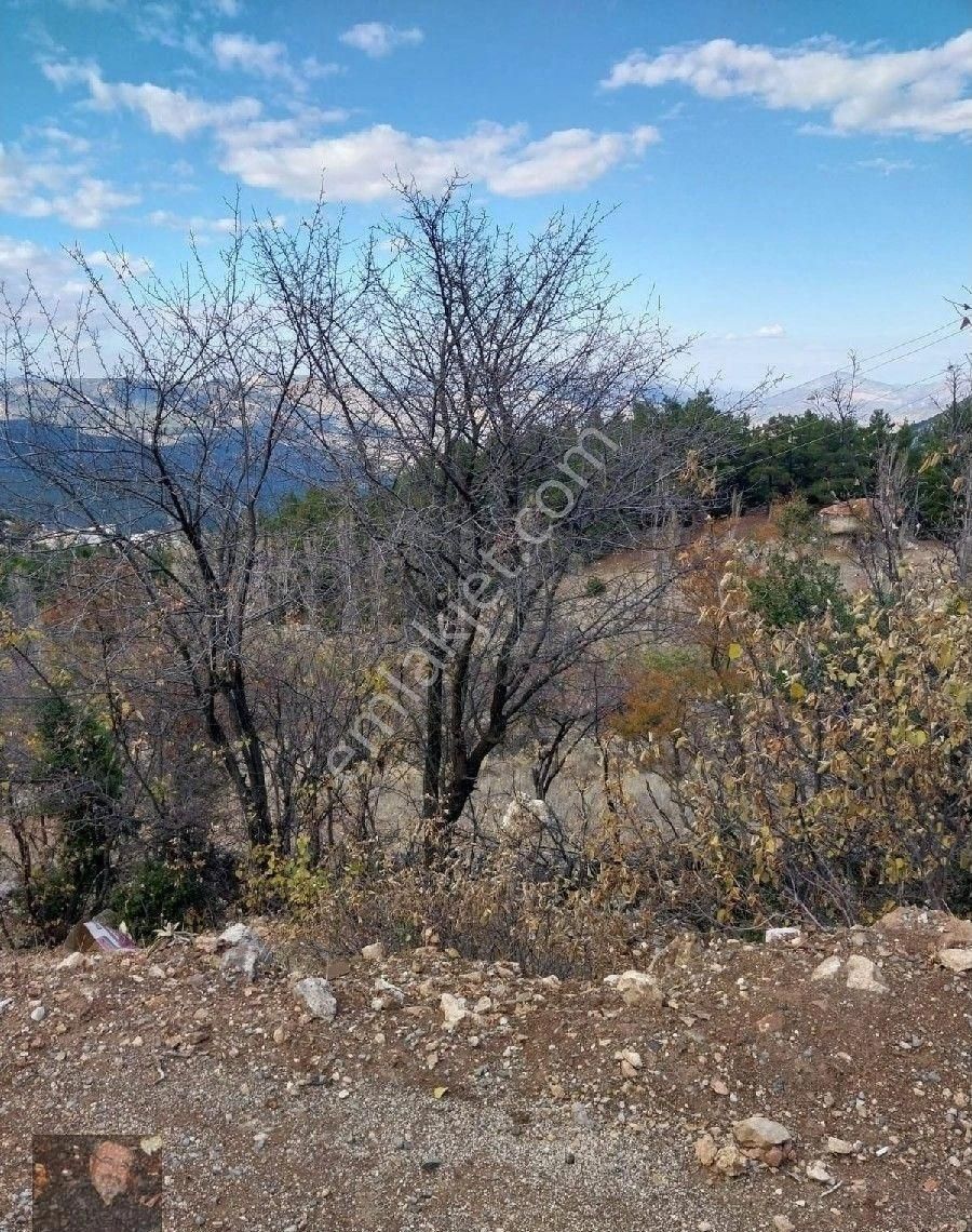 Döşemealtı Karaman Da Rızai Taksim Yapılmış 6080m Tapulu Aboneli Tarla - Görsel 9