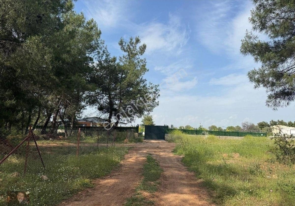 Duacıda Muhteşem Müstakil Villa Havuzlu - Görsel 14