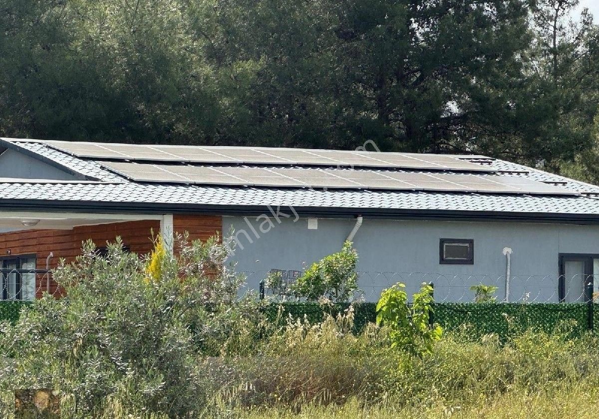 Duacıda Muhteşem Müstakil Villa Havuzlu - Görsel 7