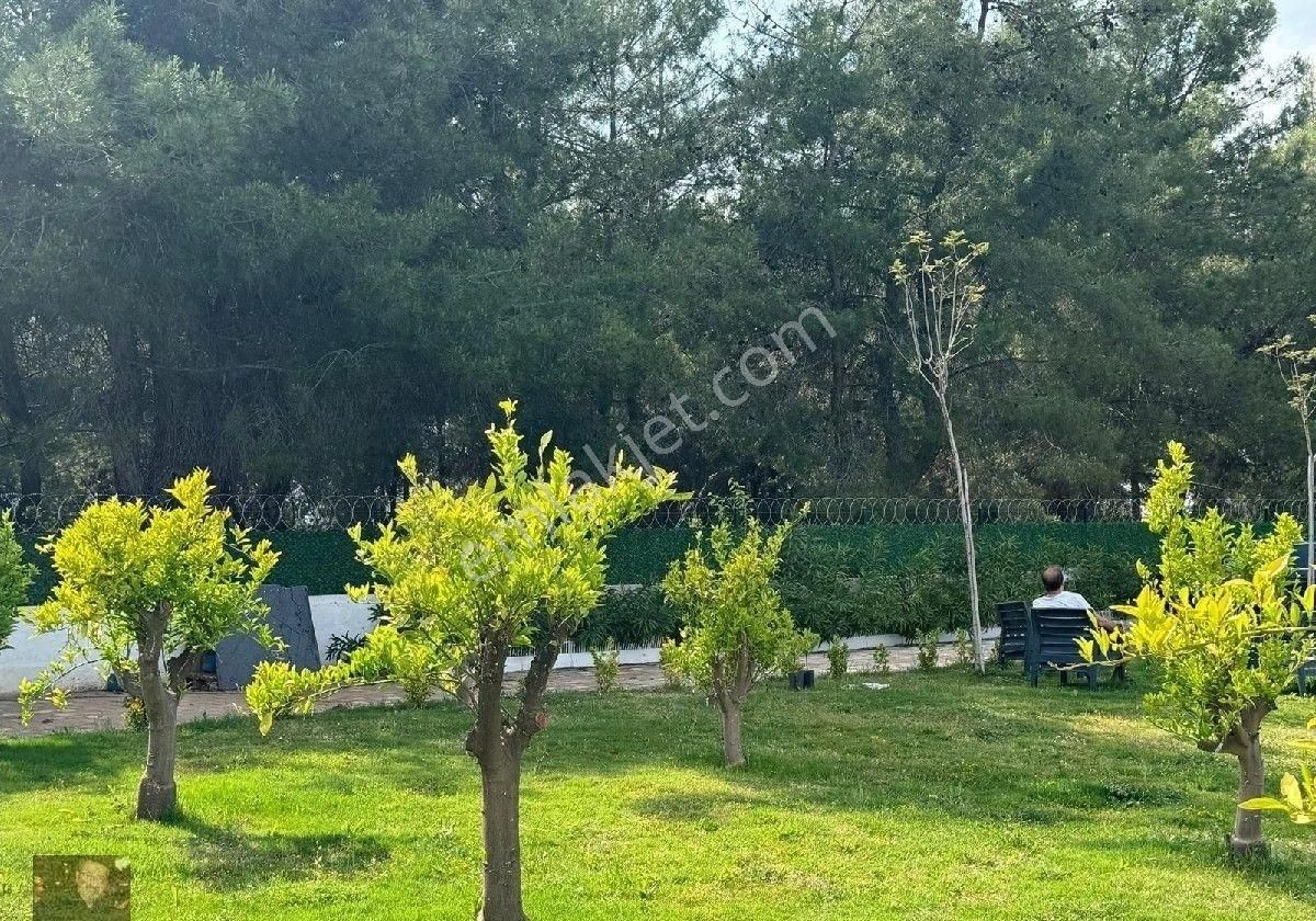 Duacıda Muhteşem Müstakil Villa Havuzlu - Görsel 18