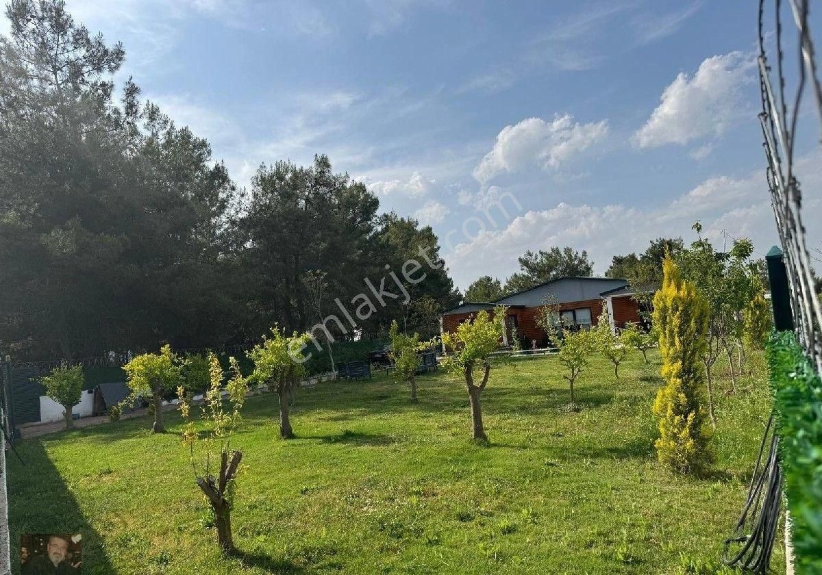 Duacıda Muhteşem Müstakil Villa Havuzlu - Görsel 34