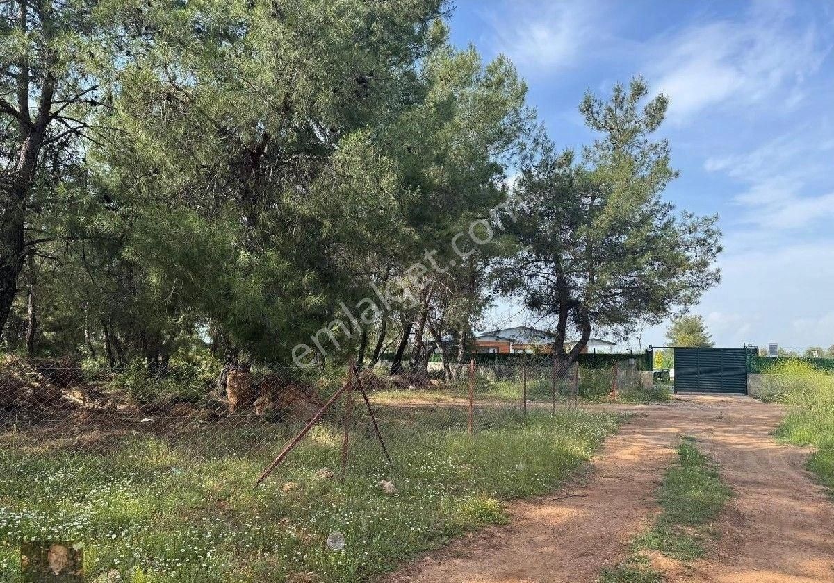 Duacıda Muhteşem Müstakil Villa Havuzlu - Görsel 21