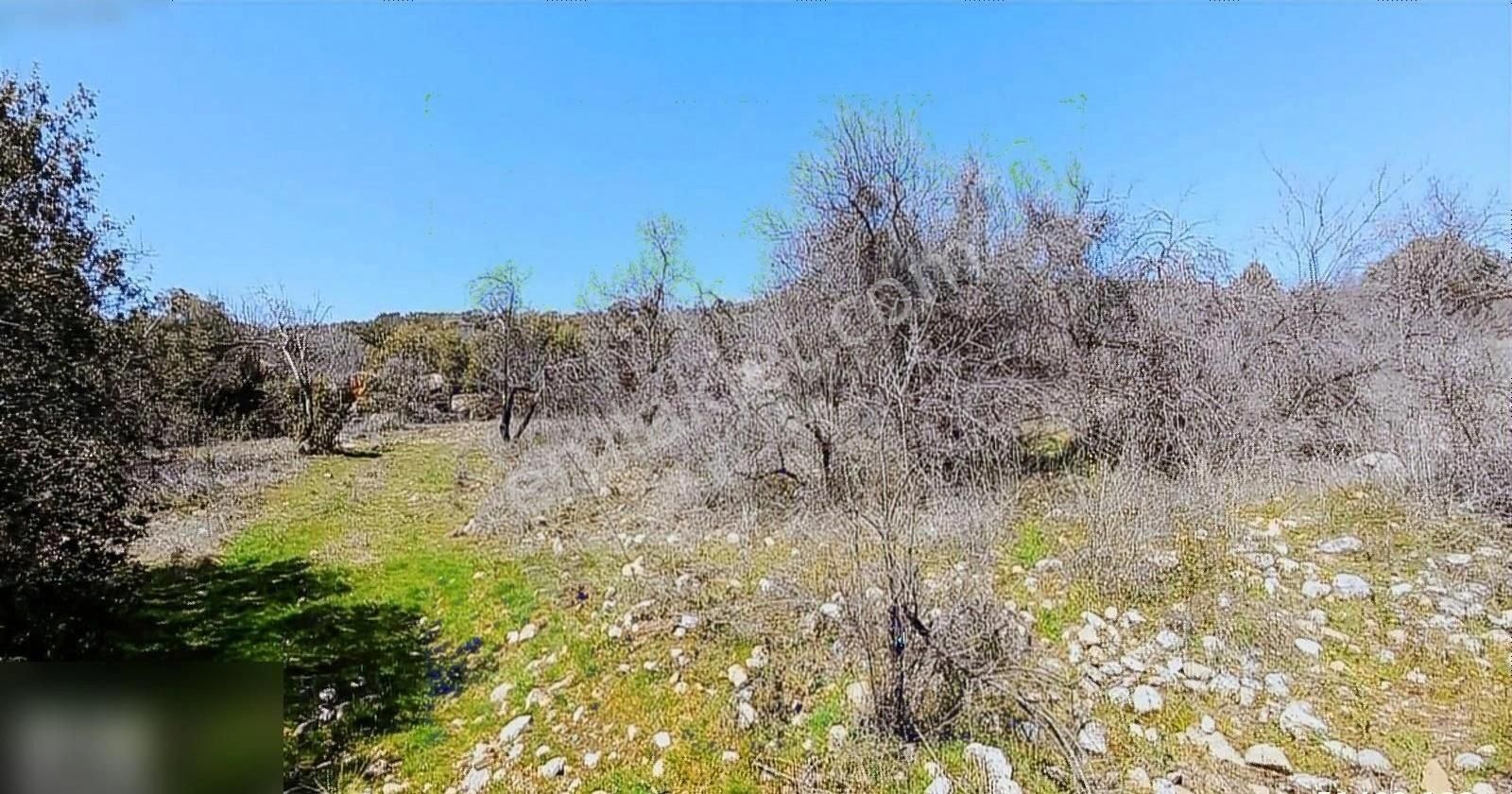 İlyaskoy De Gol Manzaralı Müstakil Tek Tapu 552m 235/1 Yerler Araba Takaslı - Görsel 13
