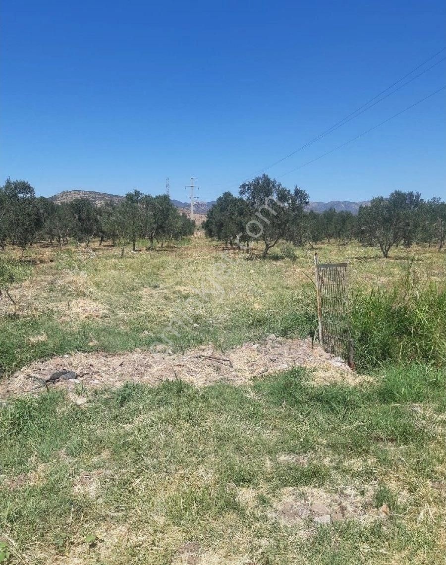 Kabakum Güzelbelde Dublex 3+1 - Görsel 33