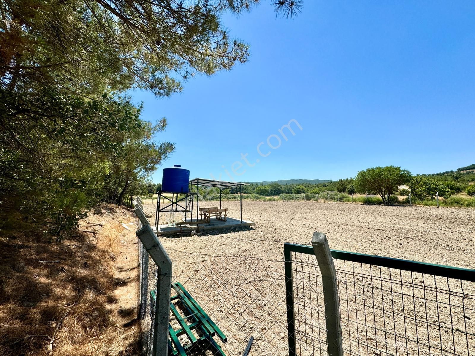 Manisa Ortaköy De 2.500 M2 Tarla , Telle Çevrili , Tek Tapu